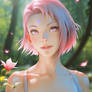 720 - Sakura