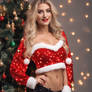Sexy Santa 4