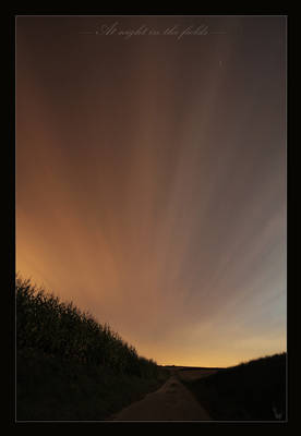 At night in the fields