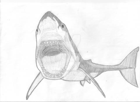 Shark (Grayscale)