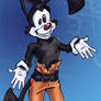 ANI - :Yakko Warner: