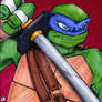 TMNT - :Leonardo the Swordsman: