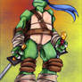 TMNT - :The Valiant Leonardo: