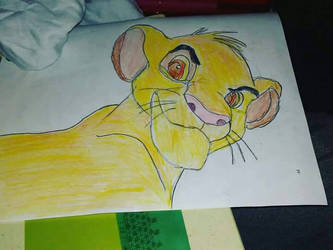 Simba from the lion king.