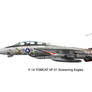 F-14 Tomcat VF-51