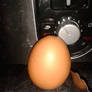 Egg