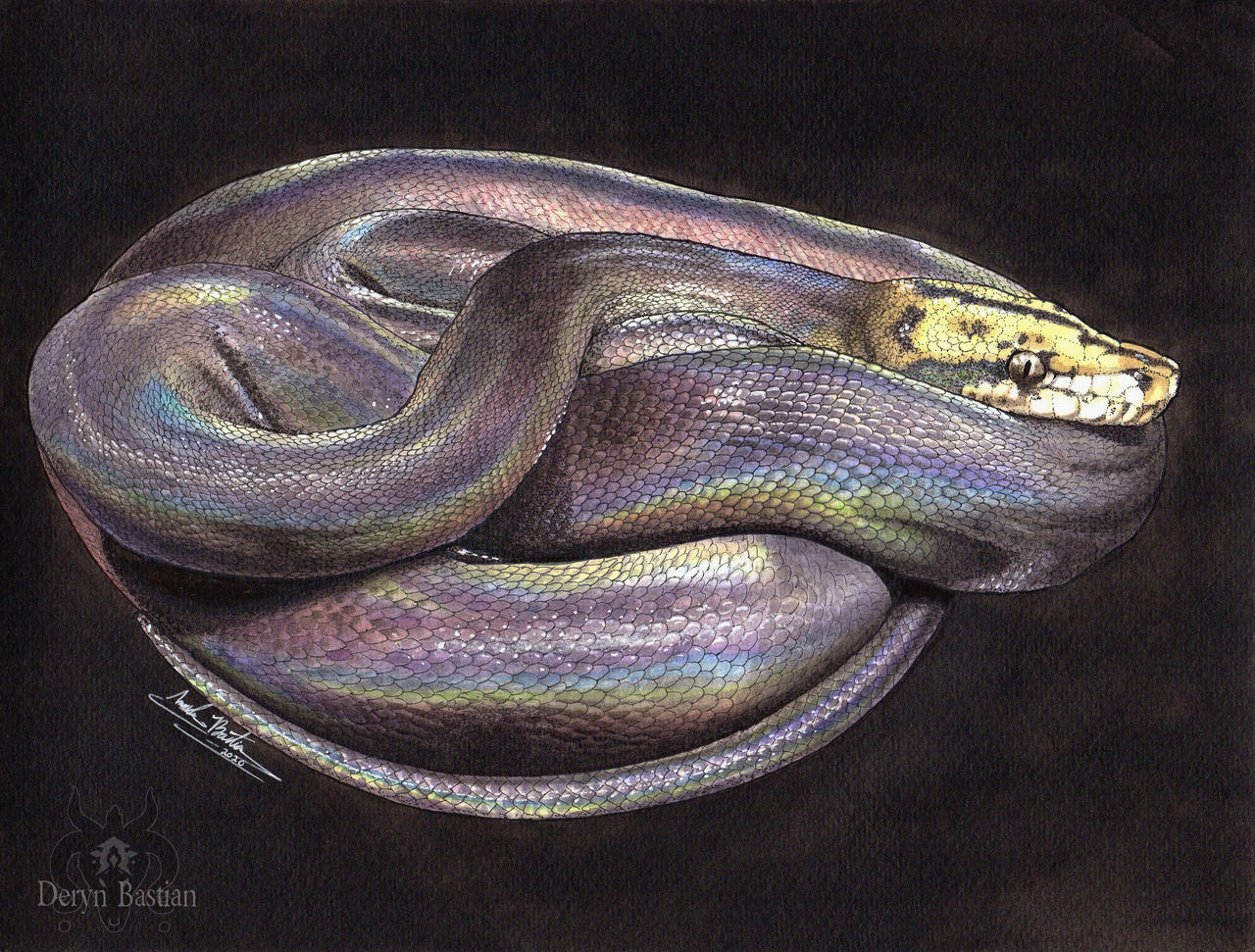 Super Goldenchild Retic Painting by DerynStarling on DeviantArt