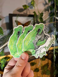 Grey Tree Frog Vinyl Sticker