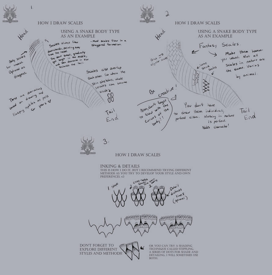 Scale Tutorial Scale Tutorial by DerynStarling on DeviantArt