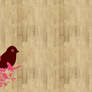 birds on wood