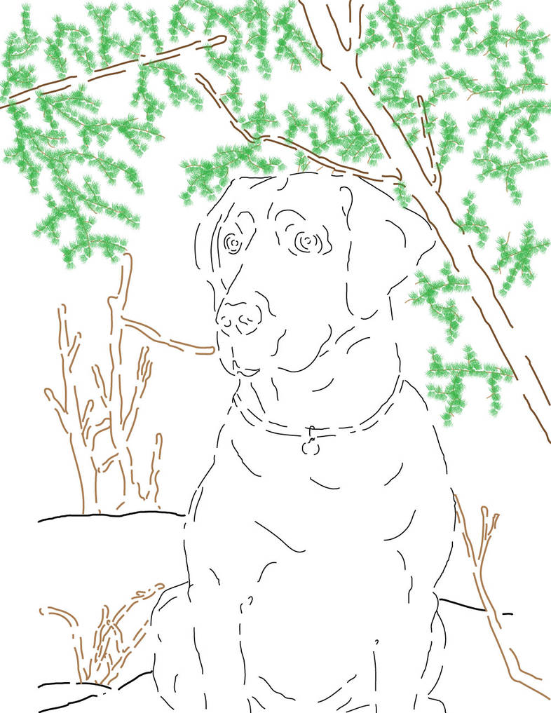 Yellow Lab Line Drawing by hinajosa88 on DeviantArt