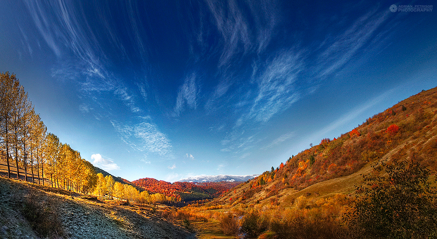 colorful autumn