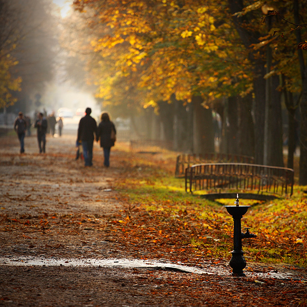 Cluj in the autumn light I