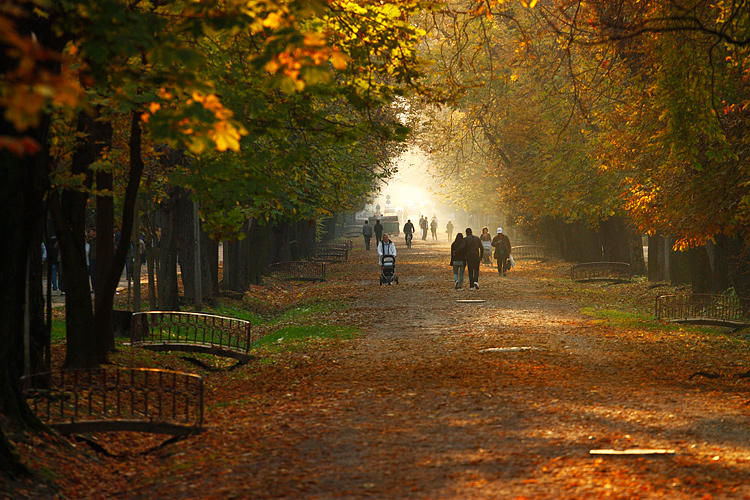 Cluj in the autumn light II