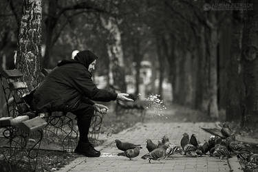 Feeding the birds