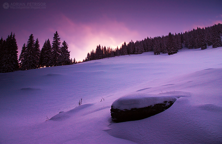 frozen sunset