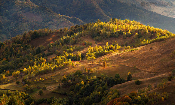 Autumn colors in Apuseni Mountains 2