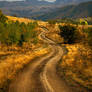 Autumn colors in Apuseni Mountains 5