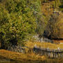 Autumn colors in Apuseni Mountains 14