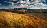 Autumn colors in Apuseni Mountains 15 by adypetrisor