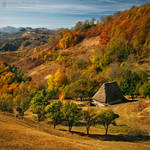 Autumn colors in Apuseni Mountains 18 by adypetrisor