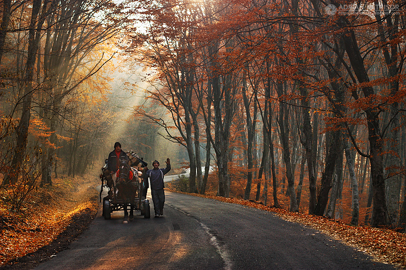 Autumn colors in Apuseni Mountains 30