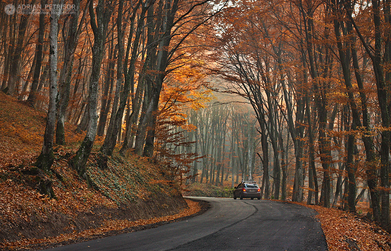 Autumn colors in Apuseni Mountains 32