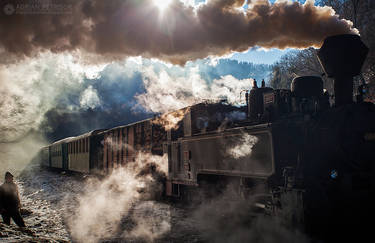 Steam train in Maramures 03