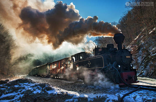 Steam train in Maramures 05