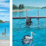 Three paintings of Ettalong