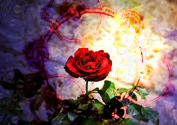 Bewitching Rose Power by gors on DeviantArt