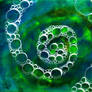 Watercolor Swirl of Bubbles