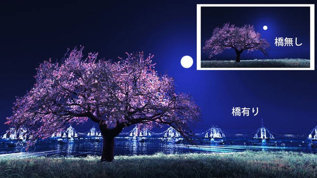 Wangan Cherry Blossoms Skydome