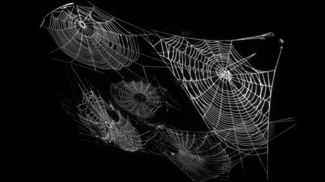 Spider Web Accessory by Magentacordia on DeviantArt