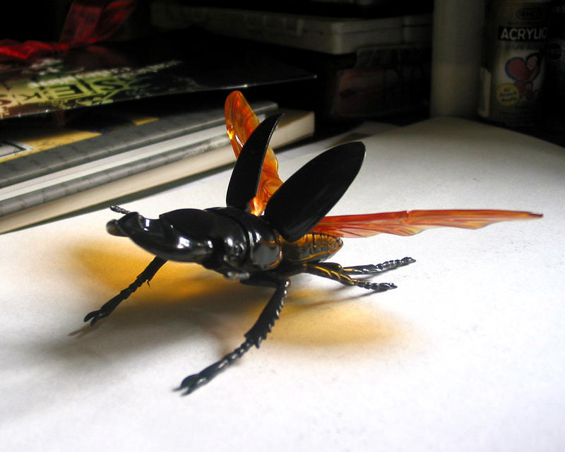 Dorcus Signature Dorcus Grandis Grandis 3 by The-Archpoet on DeviantArt