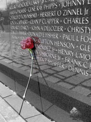 Carnation at Vietnam Memorial