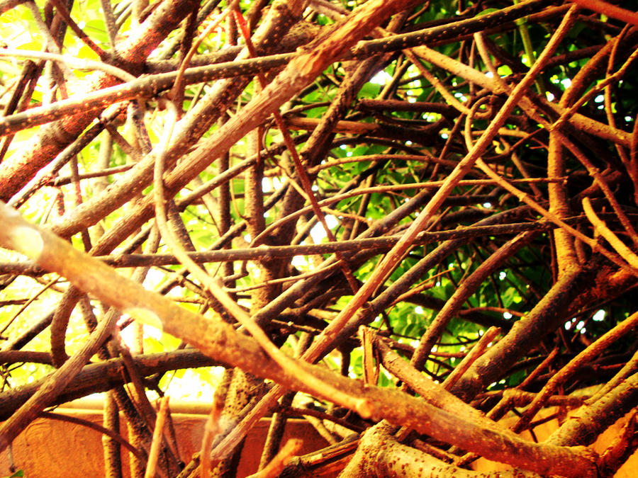 Jumbled Up String Jumbled Up by ImMyself97 on DeviantArt