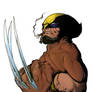 Wolverine after Larosa color