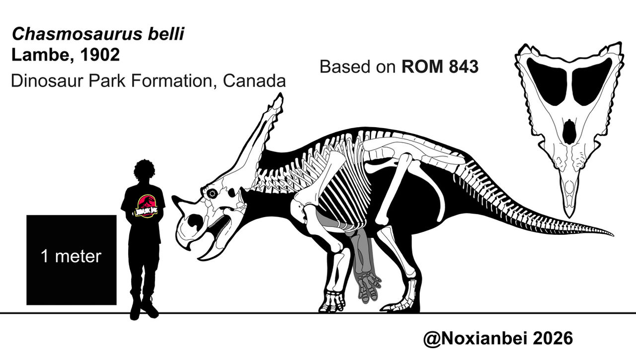 Chasmosarus Chasmosaurus by Noxianbei on DeviantArt