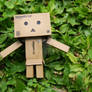 danbo likes green