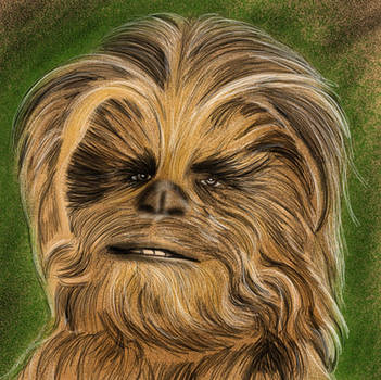 Chewbacca the Wookie