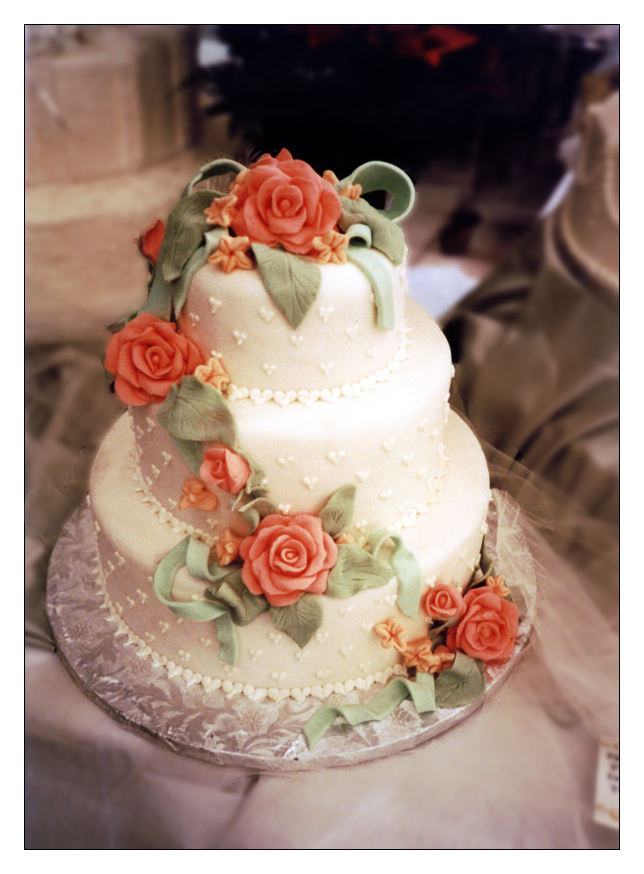 wedding cake 03