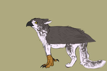 Gryphon