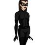 JLU Catwoman/The Cat The Dark Knight Rises
