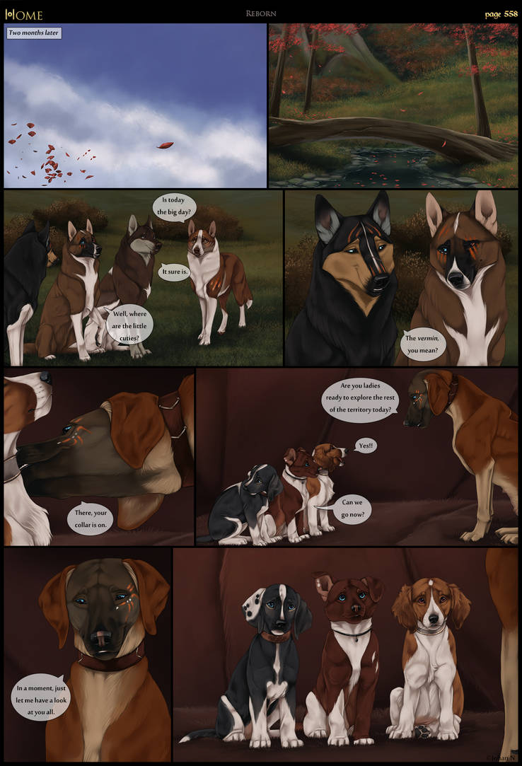 Home - pg558 by Kique-N on DeviantArt