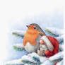 Litte Santa and a red robin