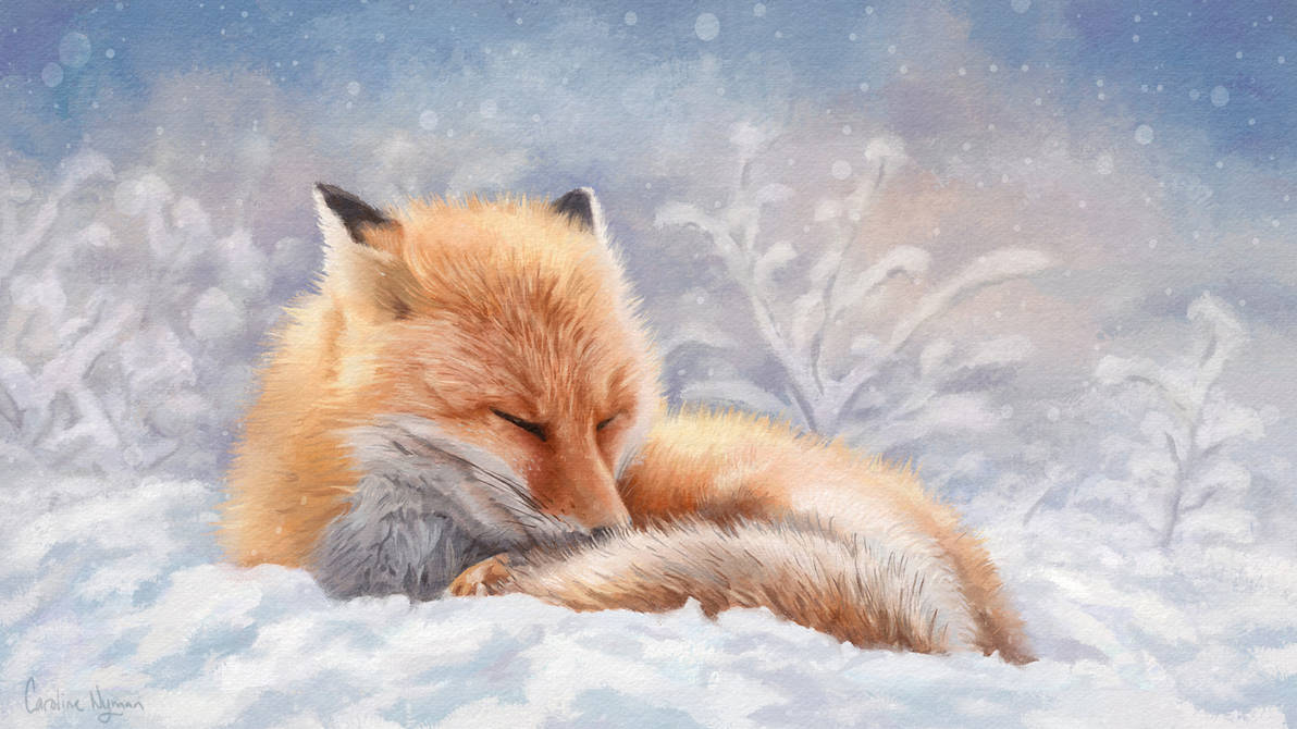 Winter's Rest by Caroline Nyman