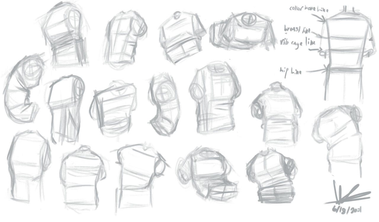 Torso study by WillowCreates on DeviantArt