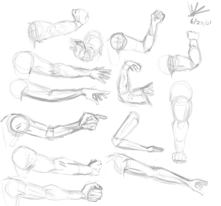 Arm study by WillowCreates on DeviantArt