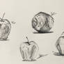 Apple Study